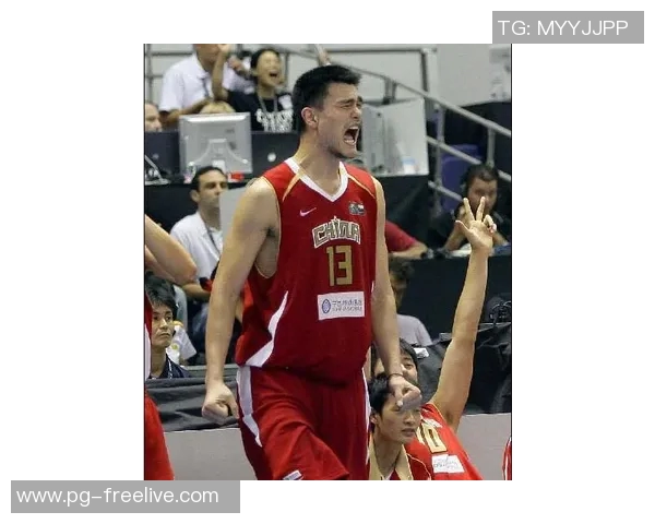 姚明在世锦赛上的精彩表现视频回顾与精彩瞬间集锦