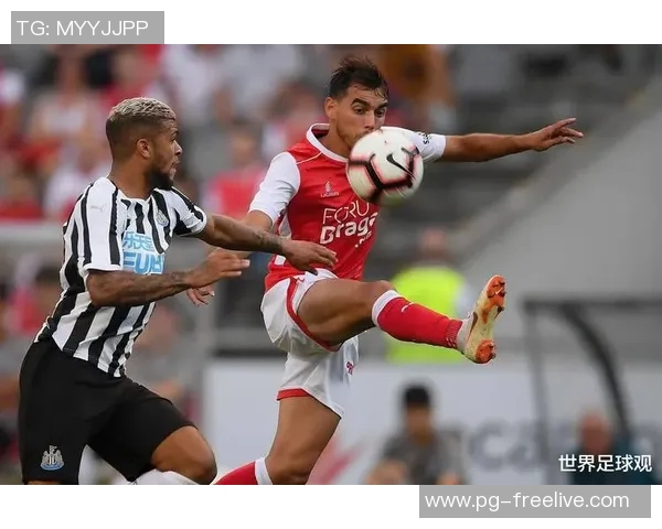 德甲精彩对决本菲卡逆转曼城全场沸腾战术解析与精彩瞬间回顾